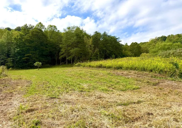 Photo 2 of Land for sale at 425 Earl Brown Rd, Otway, OH 45657 | MLS# 1895192 | Listing updated on 2026-09-28