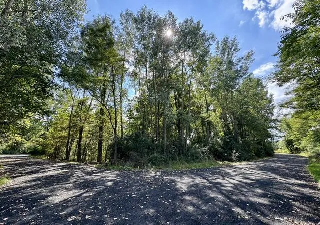 Land for sale at Heather Ridge Rd, Marshall, MI 49068 | MLS# 70557744