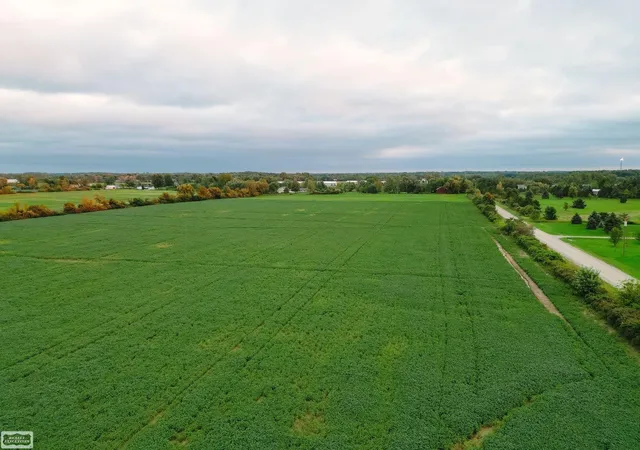 Photo 2 of Land for sale at 0 Memphis Rd, Riley, MI 48041 | MLS# 50221468 | Listing updated on 2026-09-11