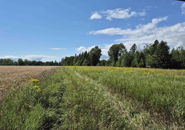 Photo 1 of Land for sale at 160 Acres Halverson Rd, Gulliver, MI 49840 | MLS# 50190039 | Listing updated on 2026-09-01