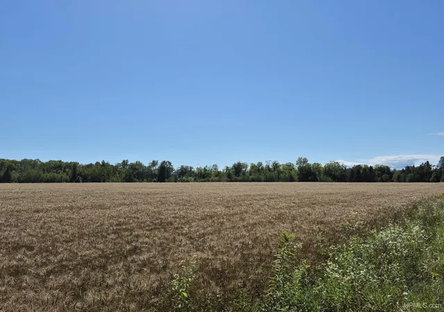 Photo 2 of Land for sale at 160 Acres Halverson Rd, Gulliver, MI 49840 | MLS# 50190039 | Listing updated on 2026-09-01