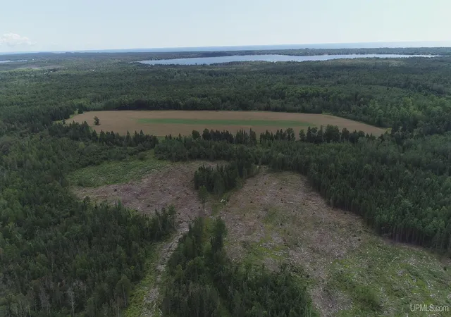Photo 3 of Land for sale at 160 Acres Halverson Rd, Gulliver, MI 49840 | MLS# 50190039 | Listing updated on 2026-09-01