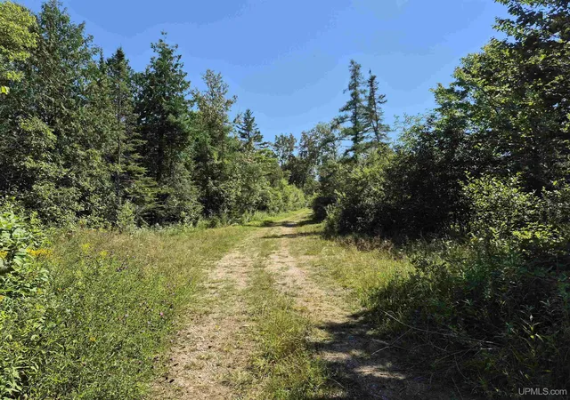 Photo 3 of Land for sale at 160 Acres Halverson Rd, Gulliver, MI 49840 | MLS# 50190039 | Listing updated on 2026-09-01