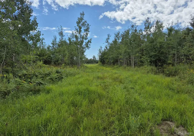 Photo 4 of Land for sale at 160 Acres Halverson Rd, Gulliver, MI 49840 | MLS# 50190039 | Listing updated on 2026-09-01