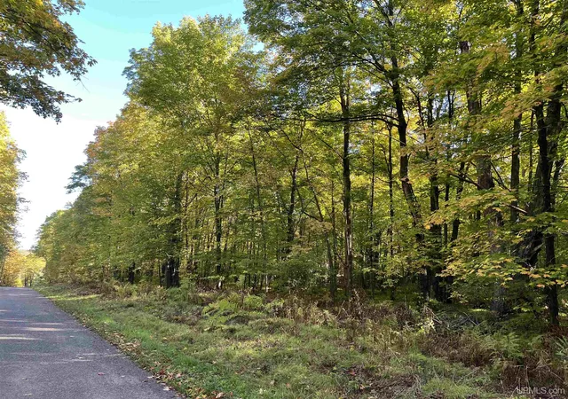 Photo 1 of Land for sale at Lot 5 Porcupine Lake Rd, Long Lake, WI 54542 | MLS# 50222754 | Listing updated on 2026-10-28