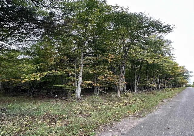 Photo 2 of Land for sale at Tbd Hibbard St, Iron River, MI 49935 | MLS# 50223102 | Listing updated on 2026-10-08