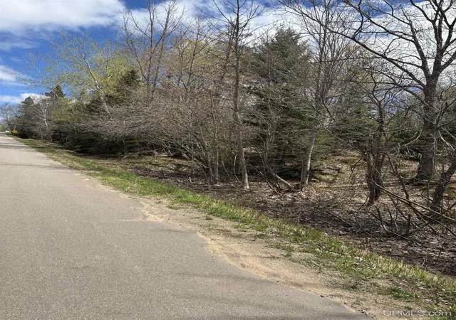 Land for sale at Tbd Al County Rd, Champion, MI 49814 | MLS# 50221760