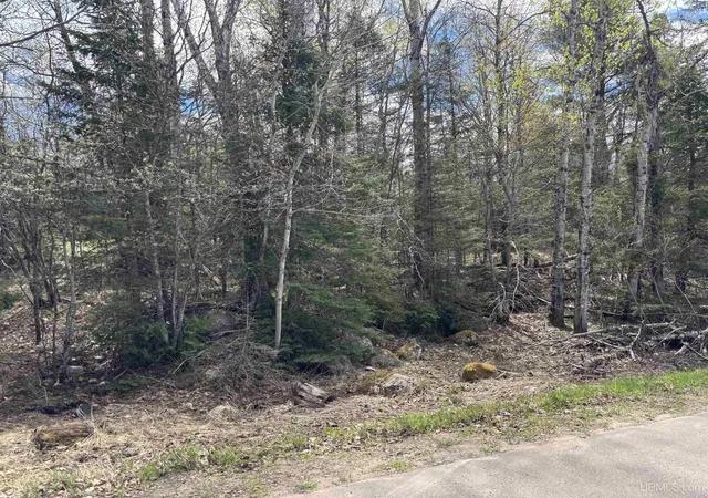 Photo 2 of Land for sale at Tbd Al County Rd, Champion, MI 49814 | MLS# 50221760 | Listing updated on 2026-10-04
