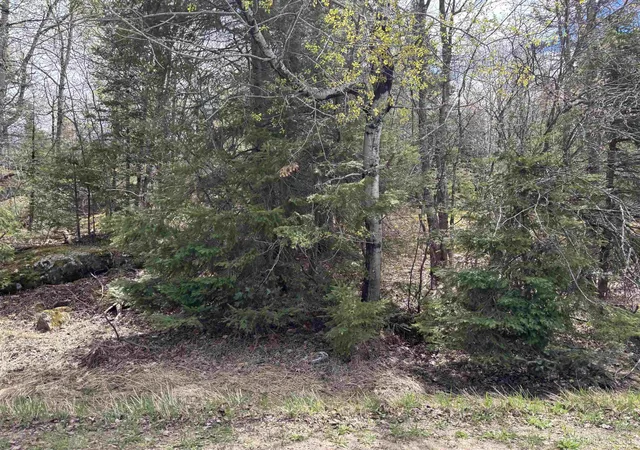 Photo 3 of Land for sale at Tbd Al County Rd, Champion, MI 49814 | MLS# 50221760 | Listing updated on 2026-10-04