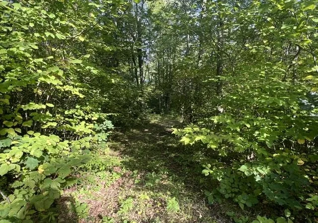 Photo 4 of Land for sale at Lot 34 Dodge Lake Ave, Harrison, MI 48625 | MLS# 50221280 | Listing updated on 2026-09-10