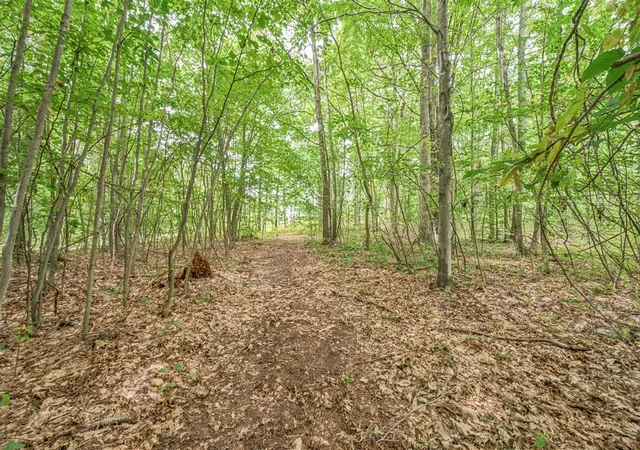 Photo 1 of Land for sale at V/l 05 8 Mile Rd, Evart, MI 49631 | MLS# 70559814 | Listing updated on 2026-10-05