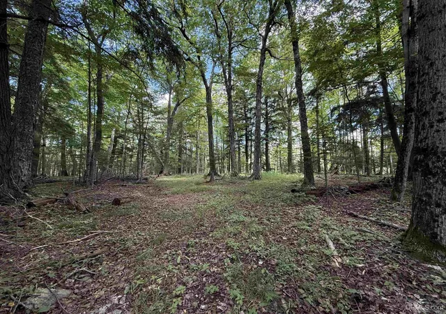 Photo 1 of Land for sale at 3814 Acres Us 2 Hwy, Gulliver, MI 49840 | MLS# 50218843 | Listing updated on 2026-09-14