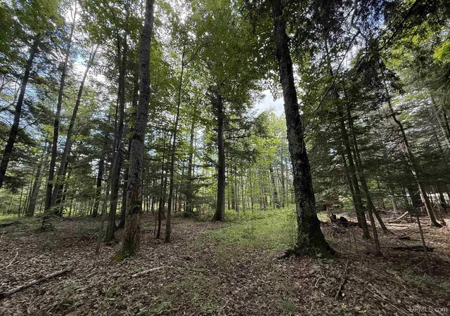 Photo 4 of Land for sale at 3814 Acres US 2 Hwy, Gulliver, MI 49840 | MLS# 50218843 | Listing updated on 2026-09-14