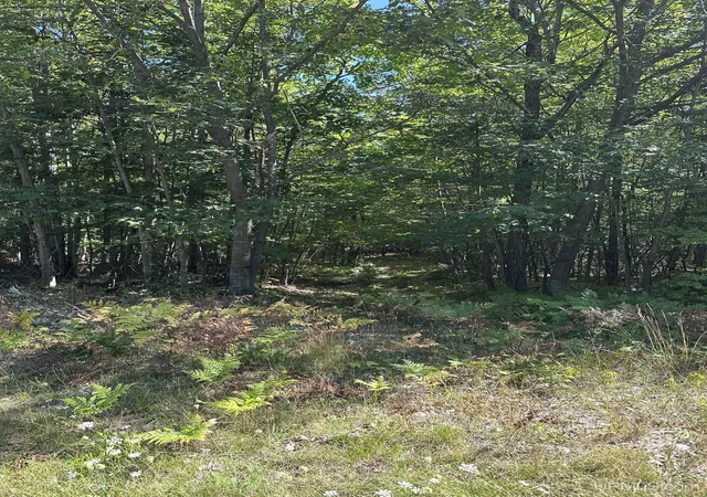 Photo 3 of Land for sale at 140 Meco Ct Rd, Marquette, MI 49855 | MLS# 50220429 | Listing updated on 2026-09-02
