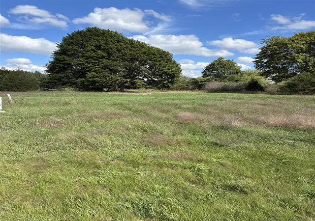 Land for sale at V/l W Ellis Ave, Belding, MI 48809 | MLS# 70560403