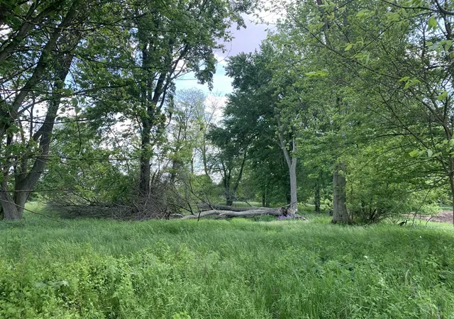 Photo 1 of Sale Pending at Brink Rd, Bronson, MI 49028 | MLS# 70551649 | Listing updated on 2026-09-11