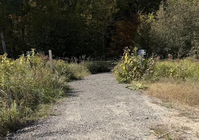 Photo 1 of Land for sale at Vl S Magruder Rd, Saint Louis, MI 48880 | MLS# 50223926 | Listing updated on 2026-10-26