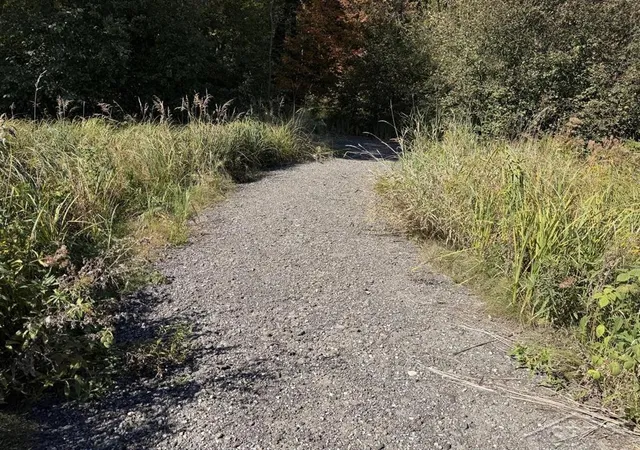 Photo 2 of Land for sale at Vl S Magruder Rd, Saint Louis, MI 48880 | MLS# 50223926 | Listing updated on 2026-10-26