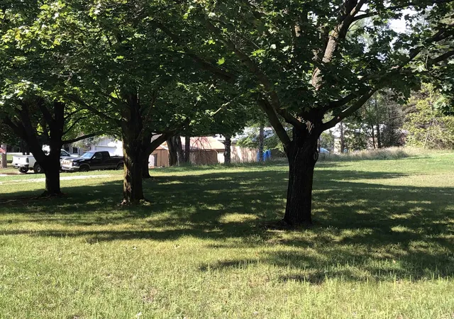 Land for sale at Tbd S Wright St, Farwell, MI 48622 | MLS# 50220404