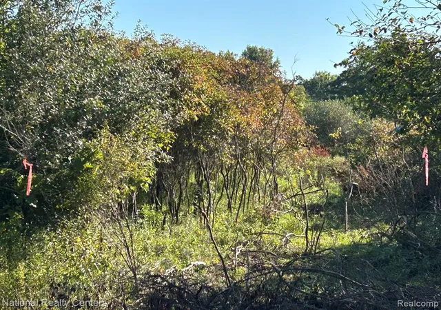 Photo 3 of Land for sale at 0000 Austin Farms Parcel C, Ortonville, MI 48462 | MLS# 61025757 | Listing updated on 2026-09-09