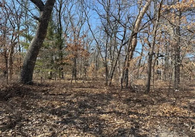 Photo 1 of Land for sale at Vl S Arrowhead Trl, Baldwin, MI 49304 | MLS# 70524188 | Listing updated on 2026-09-11