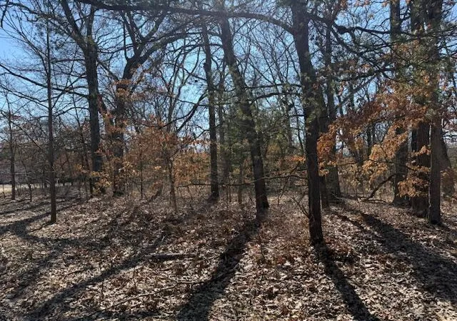 Photo 1 of Land for sale at Vl S Arrowhead Trl, Baldwin, MI 49304 | MLS# 70524188 | Listing updated on 2026-09-11