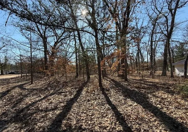 Photo 2 of Land for sale at Vl S Arrowhead Trl, Baldwin, MI 49304 | MLS# 70524188 | Listing updated on 2026-09-11