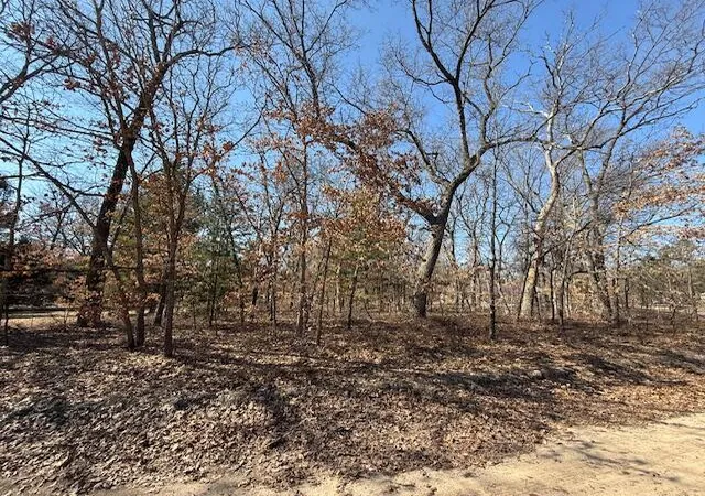 Photo 3 of Land for sale at Vl S Arrowhead Trl, Baldwin, MI 49304 | MLS# 70524188 | Listing updated on 2026-09-11