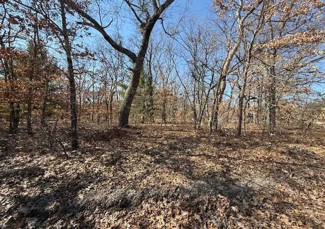 Photo 4 of Land for sale at Vl S Arrowhead Trl, Baldwin, MI 49304 | MLS# 70524188 | Listing updated on 2026-09-11