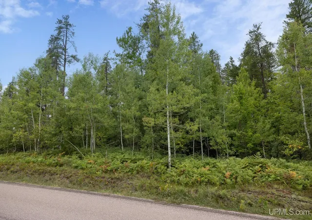 Land for sale at Lot 2 S Basin Dr, Negaunee, MI 49866 | MLS# 50220476