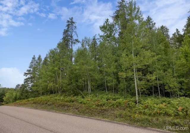 Photo 2 of Land for sale at Lot 2 S Basin Dr, Negaunee, MI 49866 | MLS# 50220476 | Listing updated on 2026-09-02