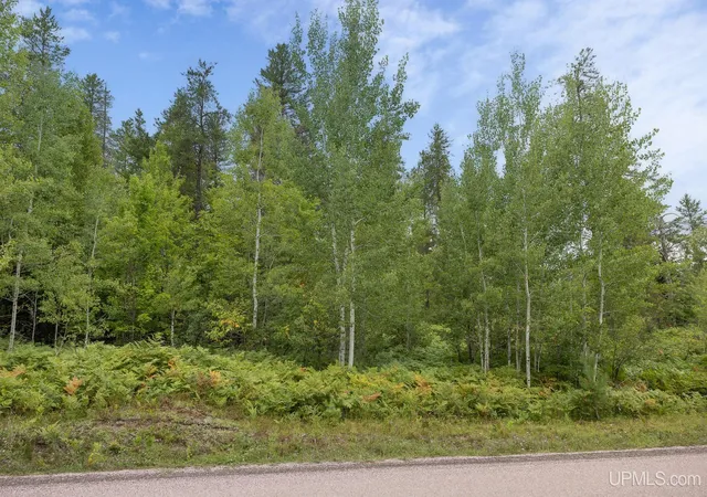 Photo 3 of Land for sale at Lot 2 S Basin Dr, Negaunee, MI 49866 | MLS# 50220476 | Listing updated on 2026-09-02