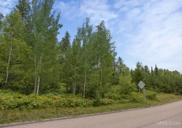 Photo 3 of Land for sale at Lot 2 S Basin Dr, Negaunee, MI 49866 | MLS# 50220476 | Listing updated on 2026-09-02