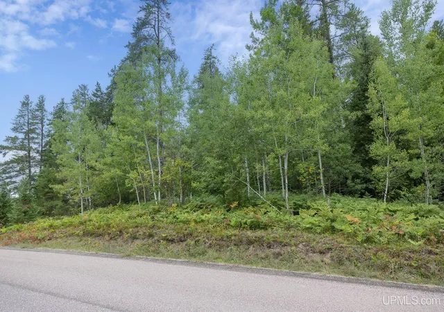 Photo 4 of Land for sale at Lot 2 S Basin Dr, Negaunee, MI 49866 | MLS# 50220476 | Listing updated on 2026-09-02