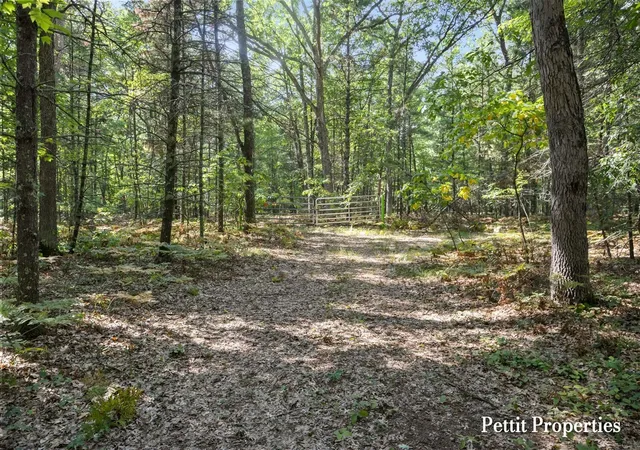 Photo 1 of Sale Pending at V/l S 142nd Avenue, Rothbury, MI 49452 | MLS# 70556440 | Listing updated on 2026-09-09