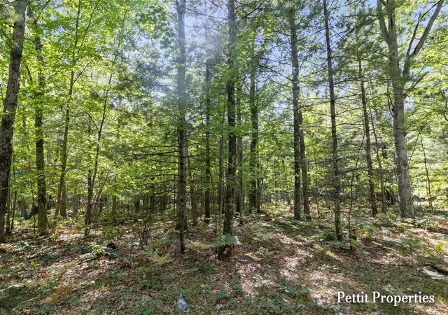 Photo 3 of Sale Pending at V/l S 142nd Avenue, Rothbury, MI 49452 | MLS# 70556440 | Listing updated on 2026-09-09