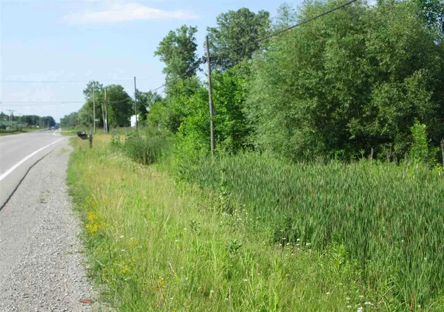Photo 1 of Land for sale at 0 Wadhams Rd, Smiths Creek, MI 48074 | MLS# 50222092 | Listing updated on 2026-09-17
