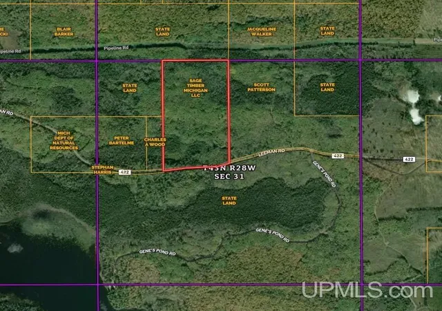 Photo 2 of Land for sale at Tbd Leeman Rd, Felch, MI 49831 | MLS# 50221946 | Listing updated on 2026-10-05