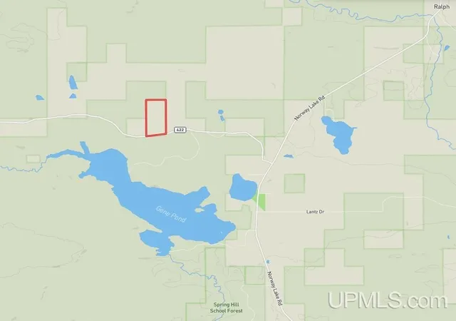 Photo 3 of Land for sale at Tbd Leeman Rd, Felch, MI 49831 | MLS# 50221946 | Listing updated on 2026-10-05