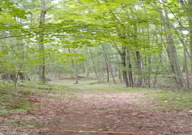 Land for sale at 3+/- S Acres Frank Smith Rd, Chase, MI 49623 | MLS# 70554842