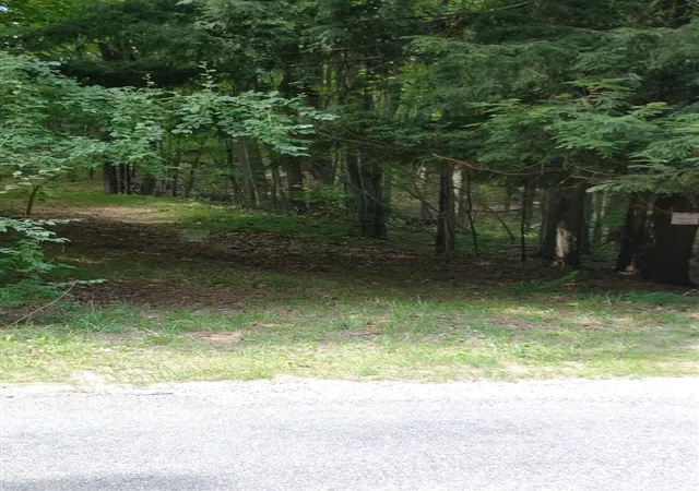 Photo 2 of Land for sale at 3+/  S Acres Frank Smith Rd, Chase, MI 49623 | MLS# 70554842 | Listing updated on 2026-09-10