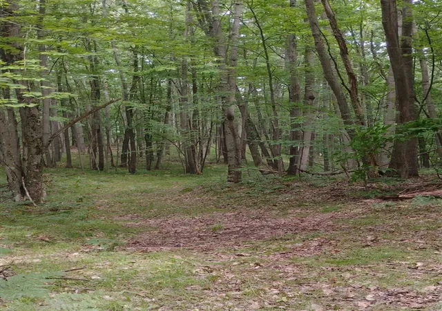 Photo 3 of Land for sale at 3+/  S Acres Frank Smith Rd, Chase, MI 49623 | MLS# 70554842 | Listing updated on 2026-09-10