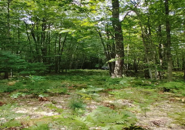 Photo 4 of Land for sale at 3+/- S Acres Frank Smith Rd, Chase, MI 49623 | MLS# 70554842 | Listing updated on 2026-09-10