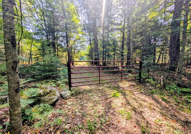 Photo 1 of Land for sale at 90 Acres Pentoga Trl, Crystal Falls, MI 49920 | MLS# 50221293 | Listing updated on 2026-09-09