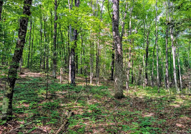 Photo 2 of Land for sale at 90 Acres Pentoga Trl, Crystal Falls, MI 49920 | MLS# 50221293 | Listing updated on 2026-09-09