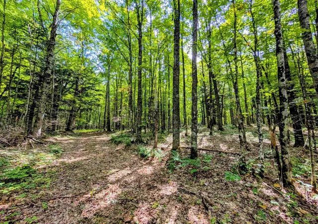Photo 3 of Land for sale at 90 Acres Pentoga Trl, Crystal Falls, MI 49920 | MLS# 50221293 | Listing updated on 2026-09-09