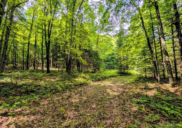 Photo 3 of Land for sale at 90 Acres Pentoga Trl, Crystal Falls, MI 49920 | MLS# 50221293 | Listing updated on 2026-09-09