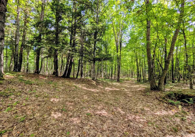 Photo 4 of Land for sale at 90 Acres Pentoga Trl, Crystal Falls, MI 49920 | MLS# 50221293 | Listing updated on 2026-09-09