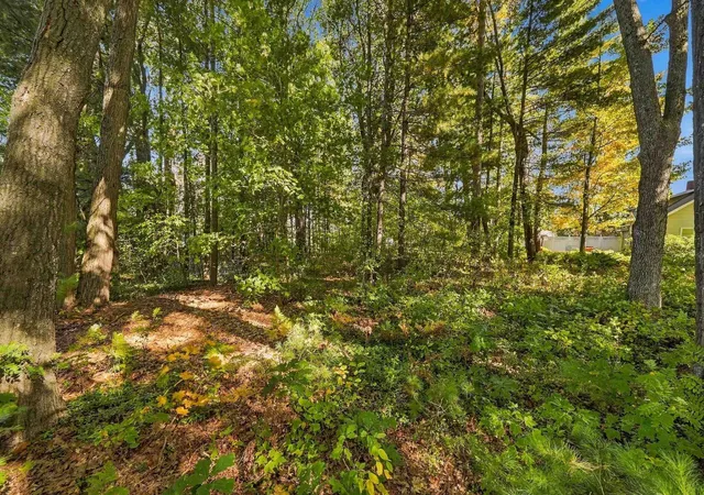 Photo 3 of Land for sale at 00 E Sunset, Cadillac, MI 49601 | MLS# 80074470 | Listing updated on 2026-10-19