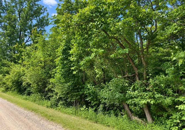 Photo 1 of Land for sale at V/l 55th Street, Grand Junction, MI 49056 | MLS# 70557632 | Listing updated on 2026-09-10